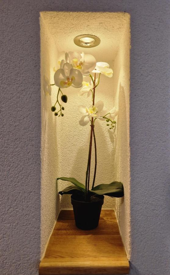 Fewo'S Und Apartment'S Schoeneck 다보스 외부 사진